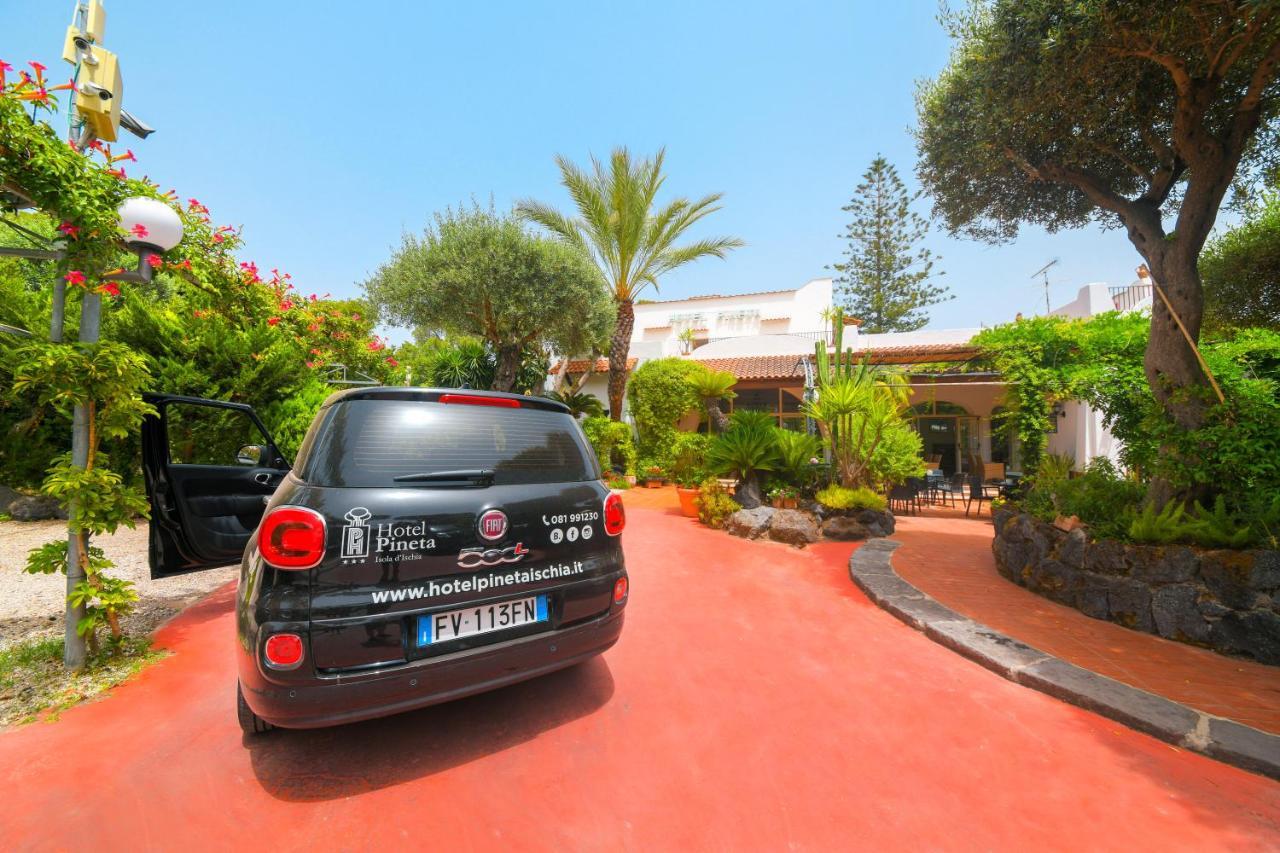 Pineta Ischia