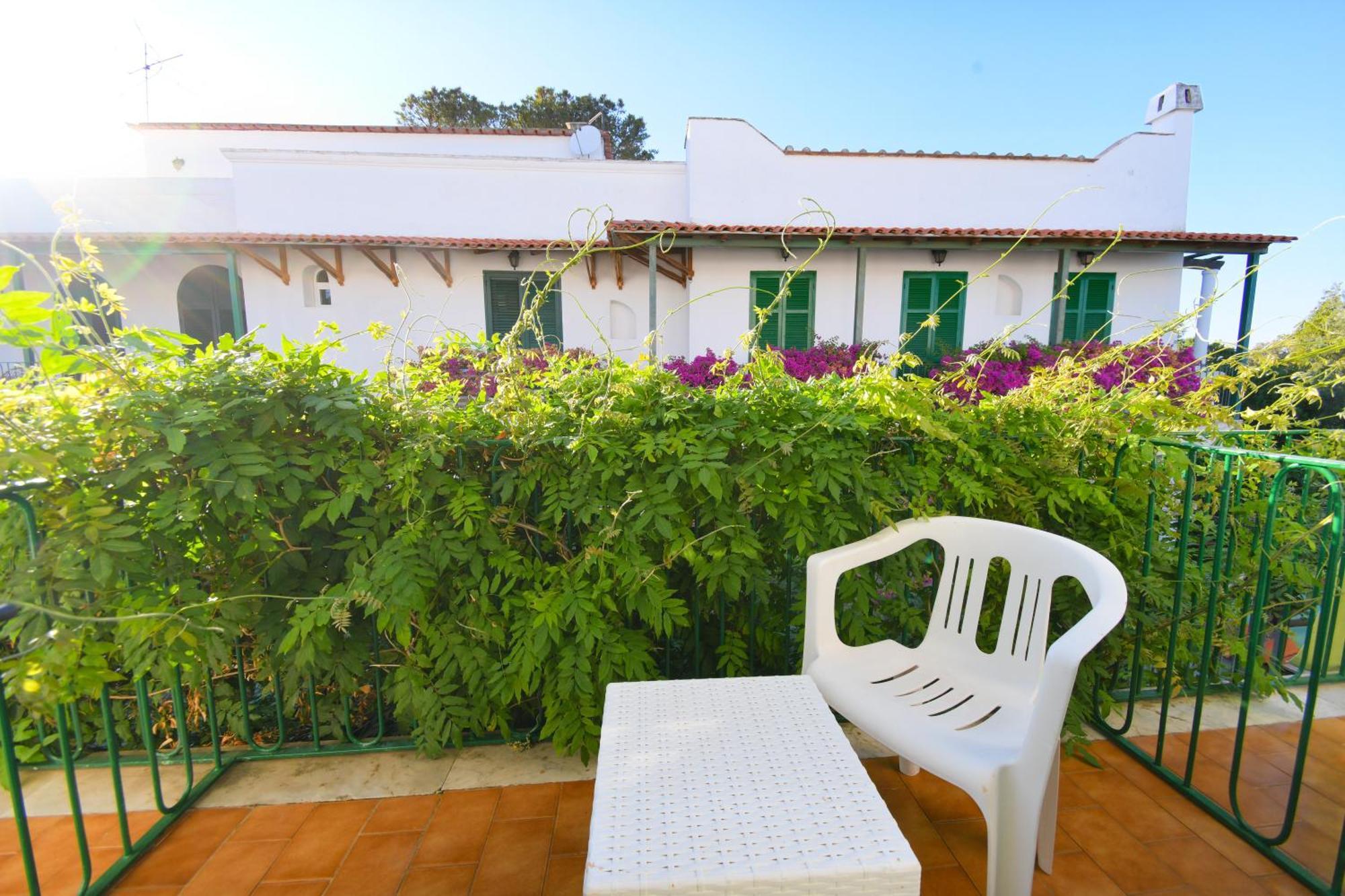 Hotel Pineta 3*