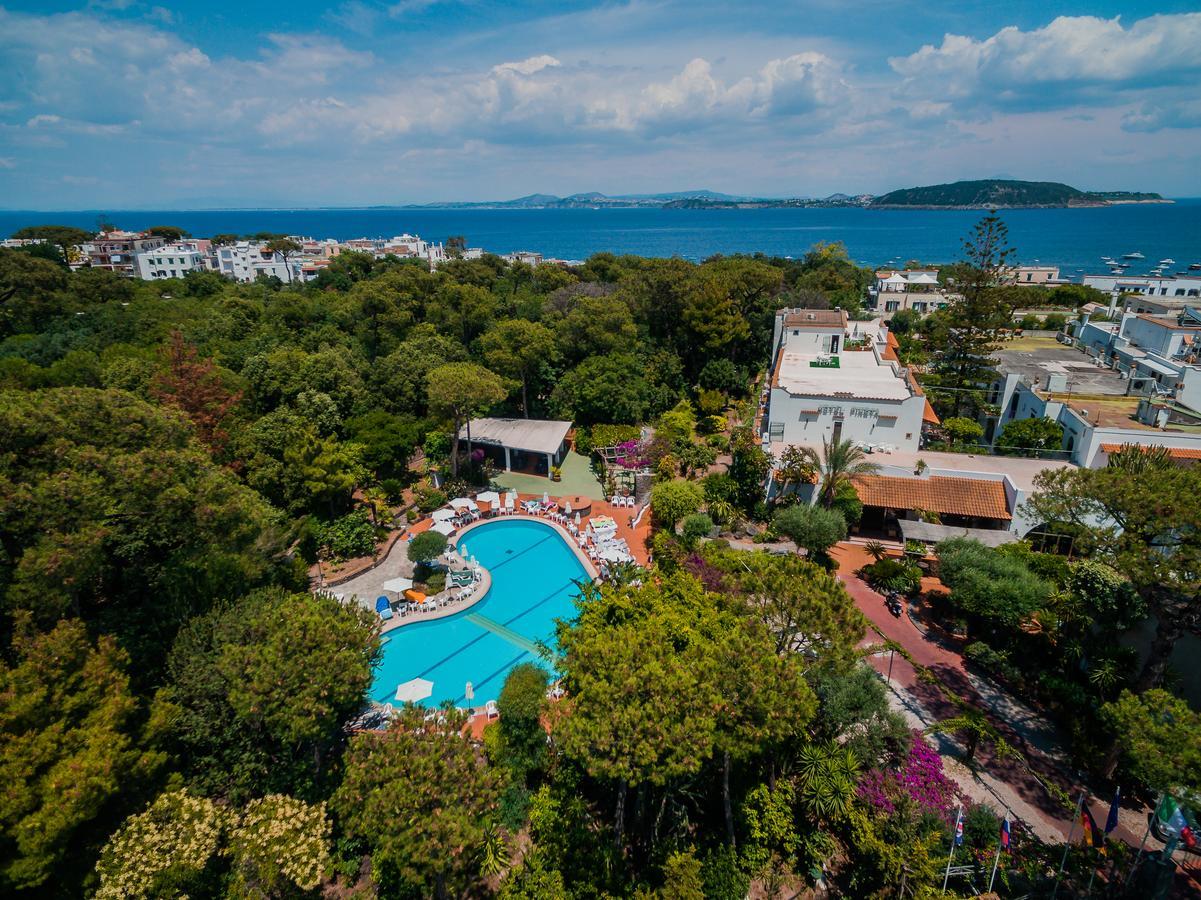 Hotel Pineta 3*